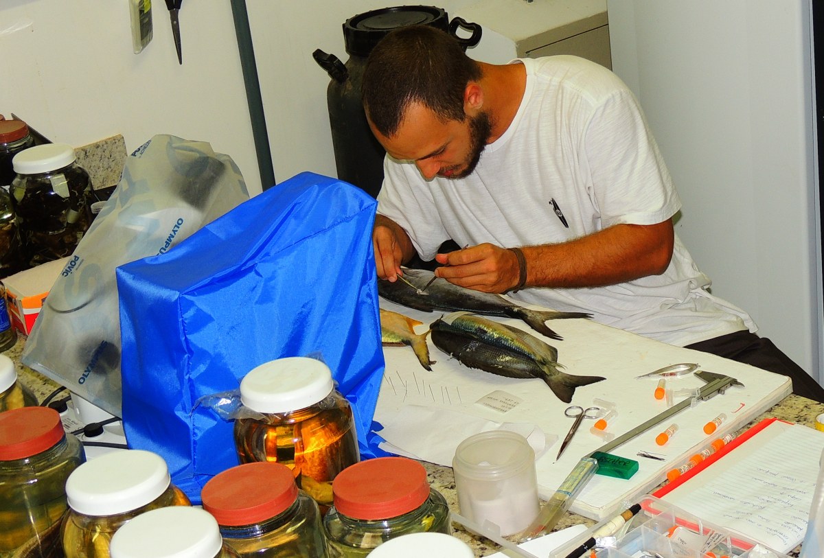Arthur realizando atividades no Laboratório Integrado de Zoologia do NUPEM UFRJ no contexto de seu projeto de Mestrado