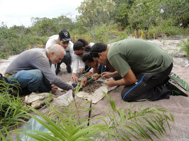 Prof. Irmler e alunos do PPG-CIAC pesquisasndo a fauna de solo.