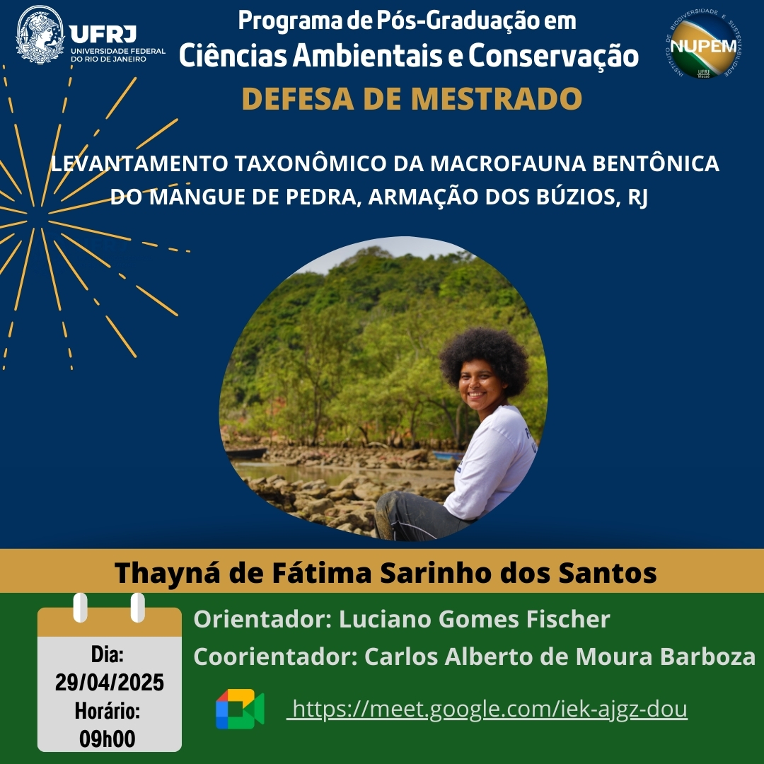 Cartaz TFSS