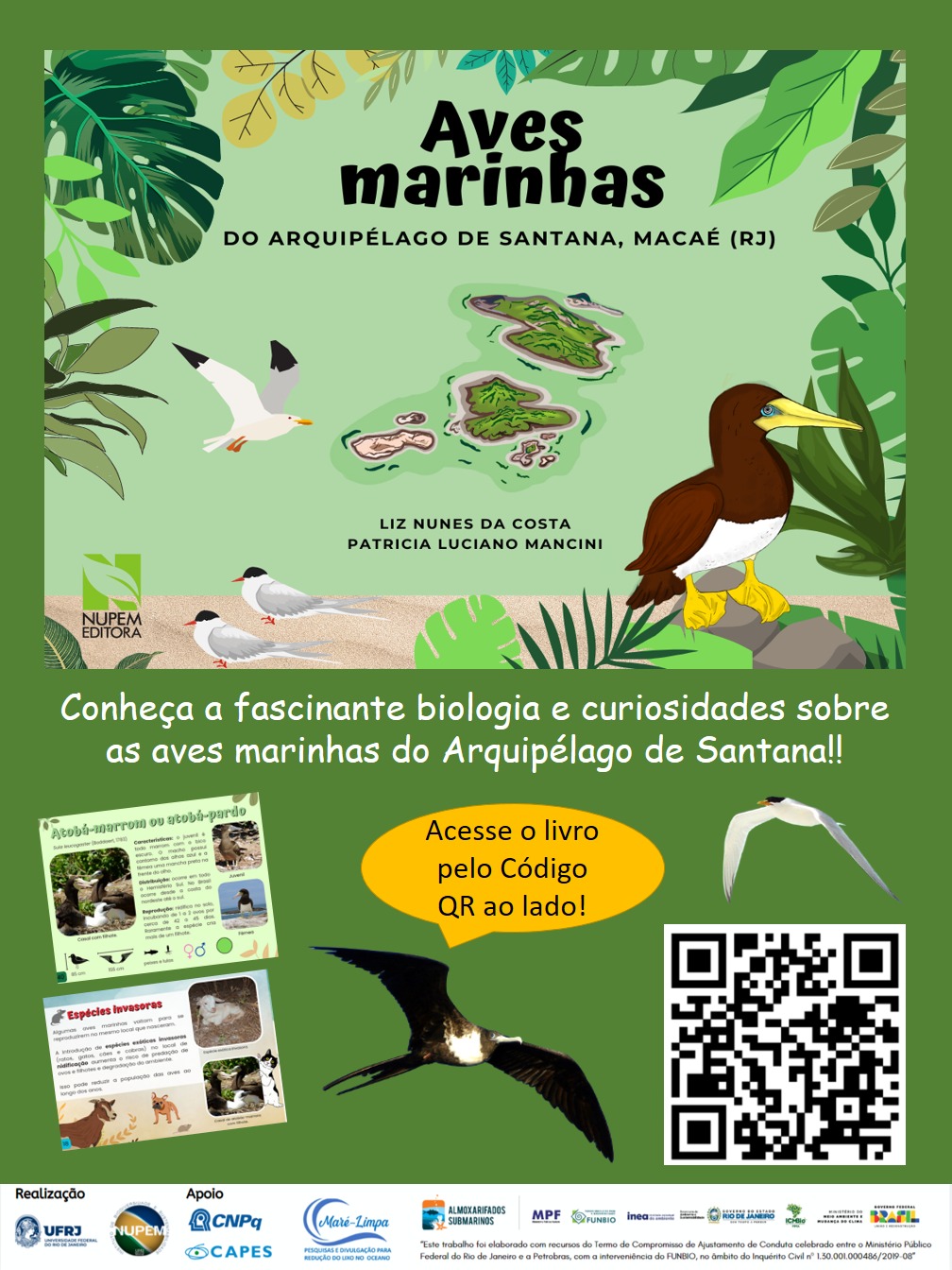 Cartaz livro aves marinhas santana